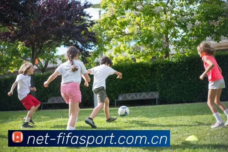 FIFA官方授权证书
