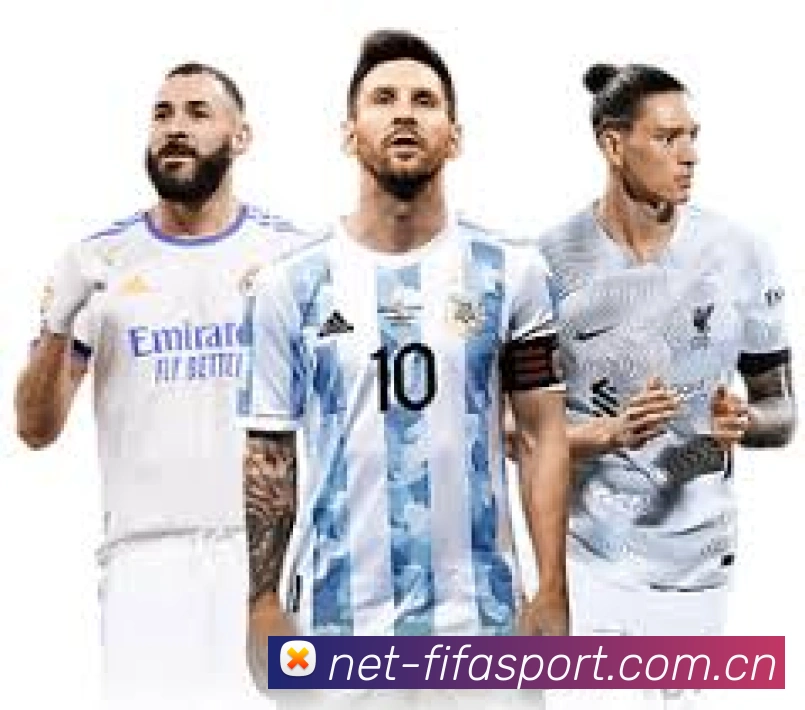 FIFA 官方数据授权认证